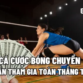 Cá cược bóng chuyền