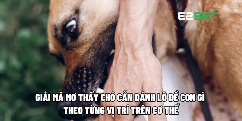 Mơ Thấy Chó Cắn Đánh Lô Đề Con Gì - Giải Mã Điềm Báo May Mắn Tại E2BET 3 Giải mã mơ thấy chó cắn đánh lô đề con gì theo từng vị trí trên cơ thể