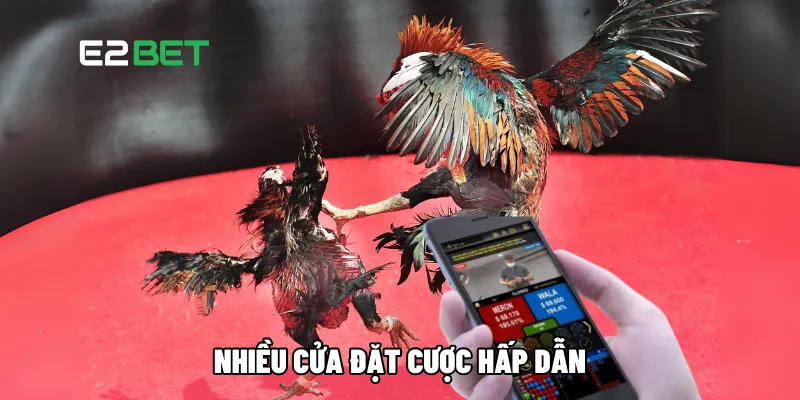 Đá Gà Online Là Gì? Tìm Hiểu 3 Cách Chơi Phổ Biến Nhất 3 Nhiều cửa đặt cược hấp dẫn